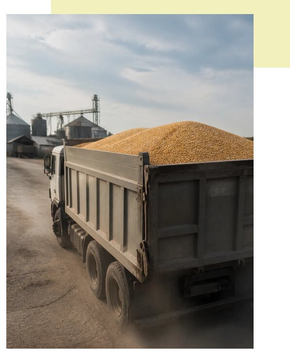 Перевозка сельхозпродукции навалом в Сызрань по цене от 3039 р. | Агросервис-Сзр